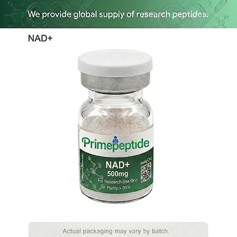 Top Selling High Purity 99%+ NAD+Nicotinamide Adenine Dinucleotide Raw Peptide Lyophilized Powder Vial Packaging 500mg for Anti-Aging NJ500